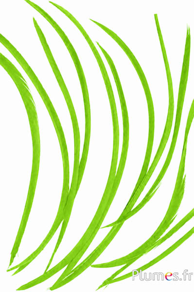 Gans - 10-17 cm - limettengrün